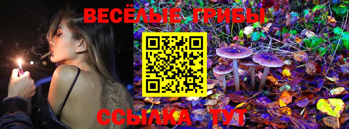 Галлюциногенные грибы прущие грибы  наркошоп  Верхняя Пышма  Вход с VPN 