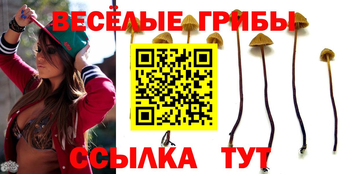 Псилоцибиновые грибы прущие грибы Верхняя Пышма