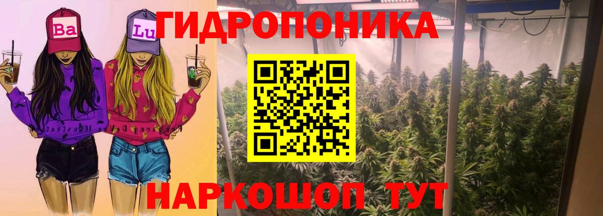Верхняя Пышма  Бошки марихуана AK-47  Шишки марихуана гибрид  Канабис Amnesia  Вход с VPN  МАРИХУАНА LSD WEED 